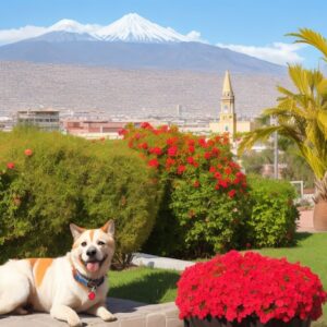 Hospitalidad y Comodidad para Ti y Tu Mascota
