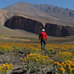 La Esencia de Arequipa y Su Vínculo con la Naturaleza
